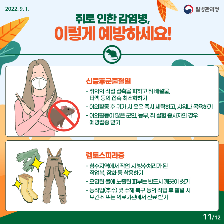 2202년 9월 1일. 질병관리청. 쥐로 인한 감염병, 이렇게 예방하세요! (신증후군출혈열) - 쥐와의 직접 접촉을 피하고 쥐 배설물, 타액 등의 접촉 최소화하기. - 야외활동 후 귀가 시 옷은 즉시 세탁하고, 샤워나 목욕하기 - 야외활동이 많은 군인, 농부, 쥐 실험 종사자의 경우 예방접종 받기 (렙토스피라증) - 침수지역에서 작업 시 방수처리가 된 작업복, 장화 등 착용하기. - 오염된 물에 노출된 피부는 반드시 깨끗이 씻기. - 농작업(추수) 및 수해 복구 등의 작업 후 발열 시 보건소 또는 의료기관에서 진료 받기. 12페이지 중 11페이지